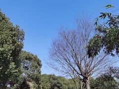 -临平公园(临平街道)