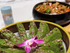 -阿露佳·舌尖上的安吉菜