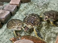 -杭州海底世界