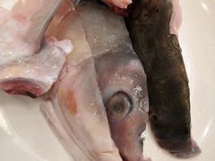 -正能量脆肉鲩火锅