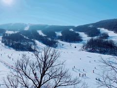 -中旅松花湖滑雪场