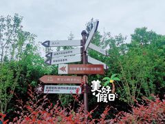 -金陵矩阵(聚宝山公园店)