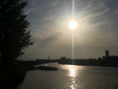 -蒲河岛湿地公园