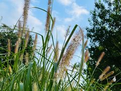 -意大利农场度假村