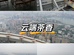 -武汉绿地中心