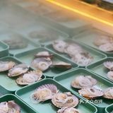 ‼️生蚝自由|💰人均❶⓿⓿＋生蚝🦪随便吃