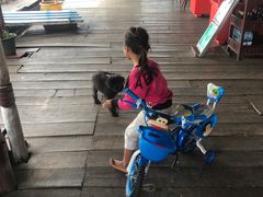 -洞里萨湖