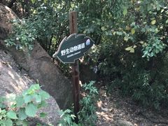 -嵖岈山风景区