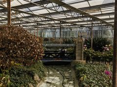 -南宫五洲植物乐园