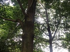 -中国茶叶博物馆(双峰馆区)