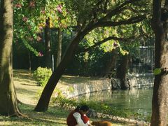 -晓港公园