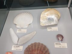 -天津古林古海岸遗迹博物馆