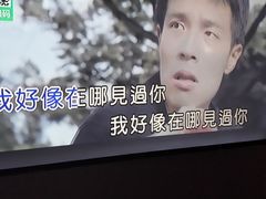 -金青果甄选KTV(劳动公园店)