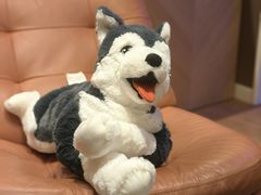 -宜家家居(四元桥商场店)