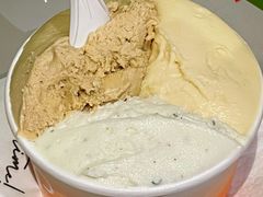 -Dip in Gelato(富民路店)