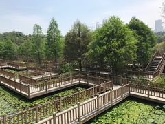 -五缘湾湿地公园