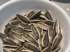 -海底捞火锅(万达广场店)