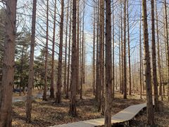 -国家植物园南园