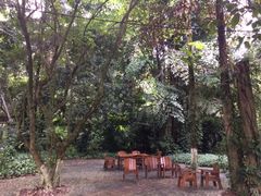 -广西壮族自治区药用植物园