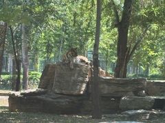 -秦皇岛野生动物园