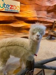 -酷嗒动物文化乐园(cutezoo西溪乐天城店)