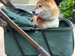 -比斯特上海购物村精品奥特莱斯