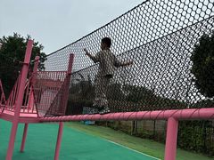 -苏州太湖西山岛开心农场