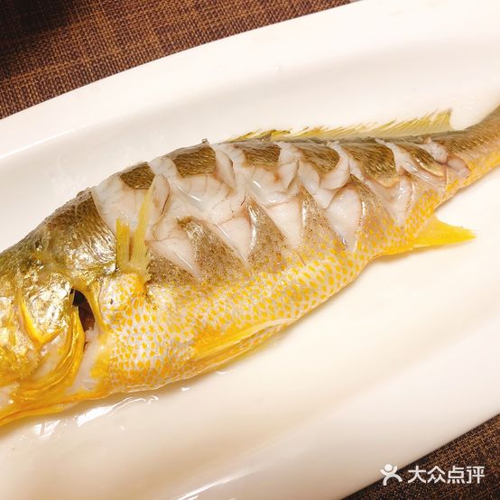 正鱼制日料