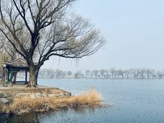 -颐和园