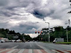 -宝安西湾红树林湿地公园