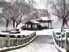 -悦秀·高级粤菜