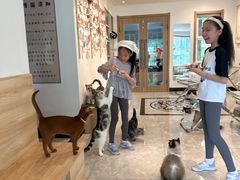 -有猫儿腻咖啡厅.猫咖