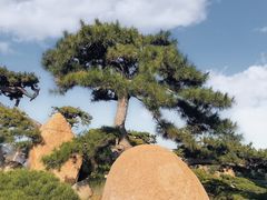 -罗红摄影艺术馆