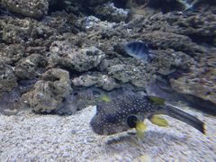 -常州海昌海洋探索馆