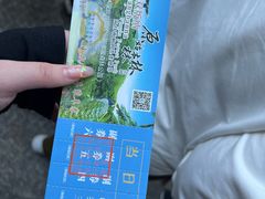 -西双版纳原始森林公园