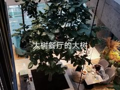 -大树餐厅(红旗街万达店)