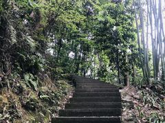 -缙云山景区