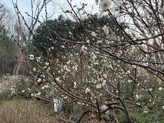 -南山风景名胜区