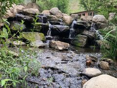 -白水寺森林公园