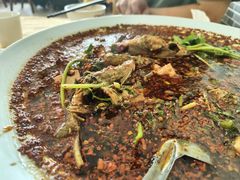 -胖大姐黄辣丁鱼庄(新津店)