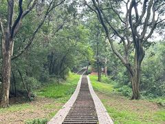 -青龙山国家森林公园