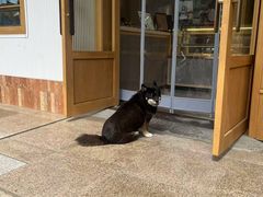 -甜嘟嘟烘焙坊(舒城路店)
