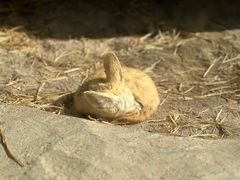 -杭州野生动物世界