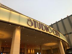 -澳门威尼斯人综合度假区