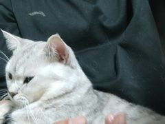 -天宠宠物医院24小时·急重症诊疗中心·全科·腔镜特色(和平分院)