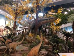 -湖南省地质博物馆