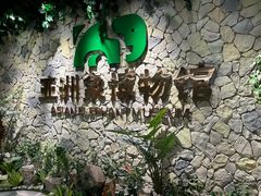 -野象谷景区