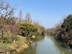 -西溪国家湿地公园