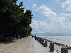 -深圳湾公园(南山区)
