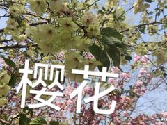 -石家庄市植物园